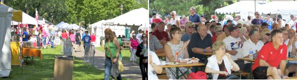 twin cities polish festival