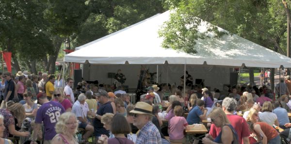 twin cities polish festival